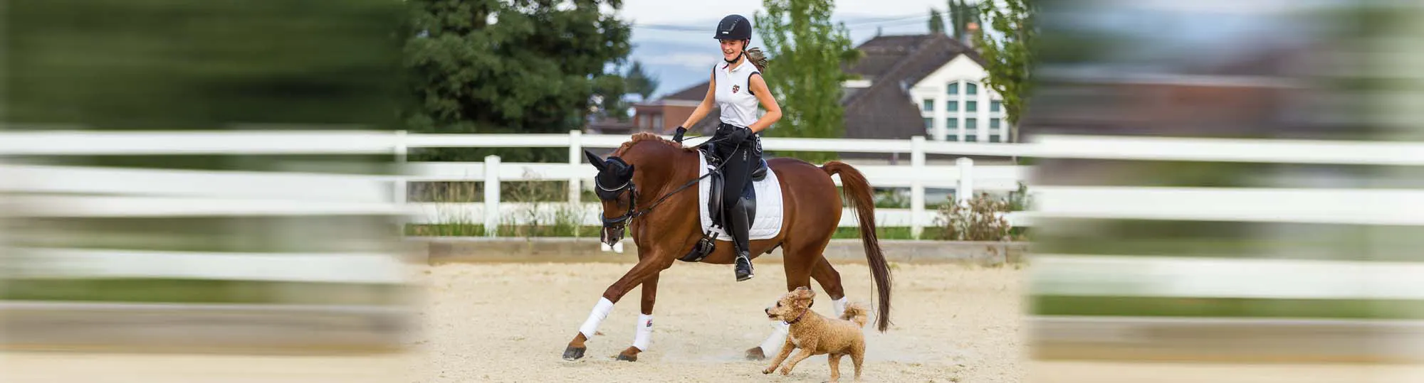 Linn Bretfeld reitet ihr Pferd auf dem Dressur-Platz zusammen mit ihrem Hund Twix