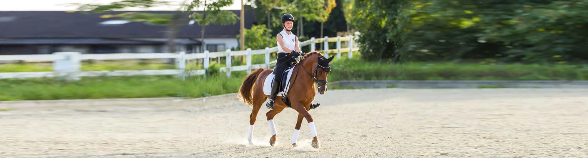 Linn Bretfeld auf dem Pferd sitzend beim konzentrierten Dressurtraining.